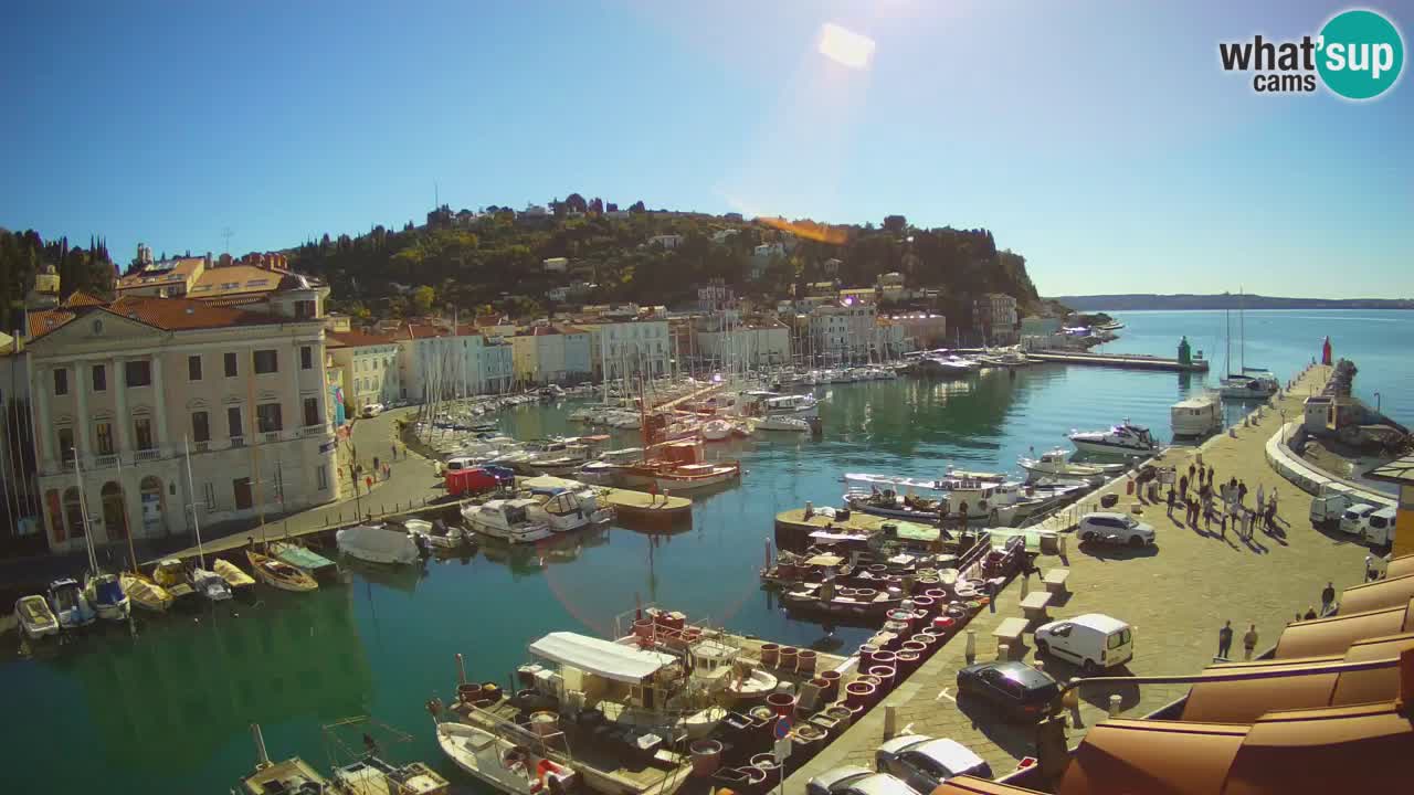 Web kamera uživo iz Pirana “Mandrač” – Nevjerojatan pogled uživo iz Ville Piranesi