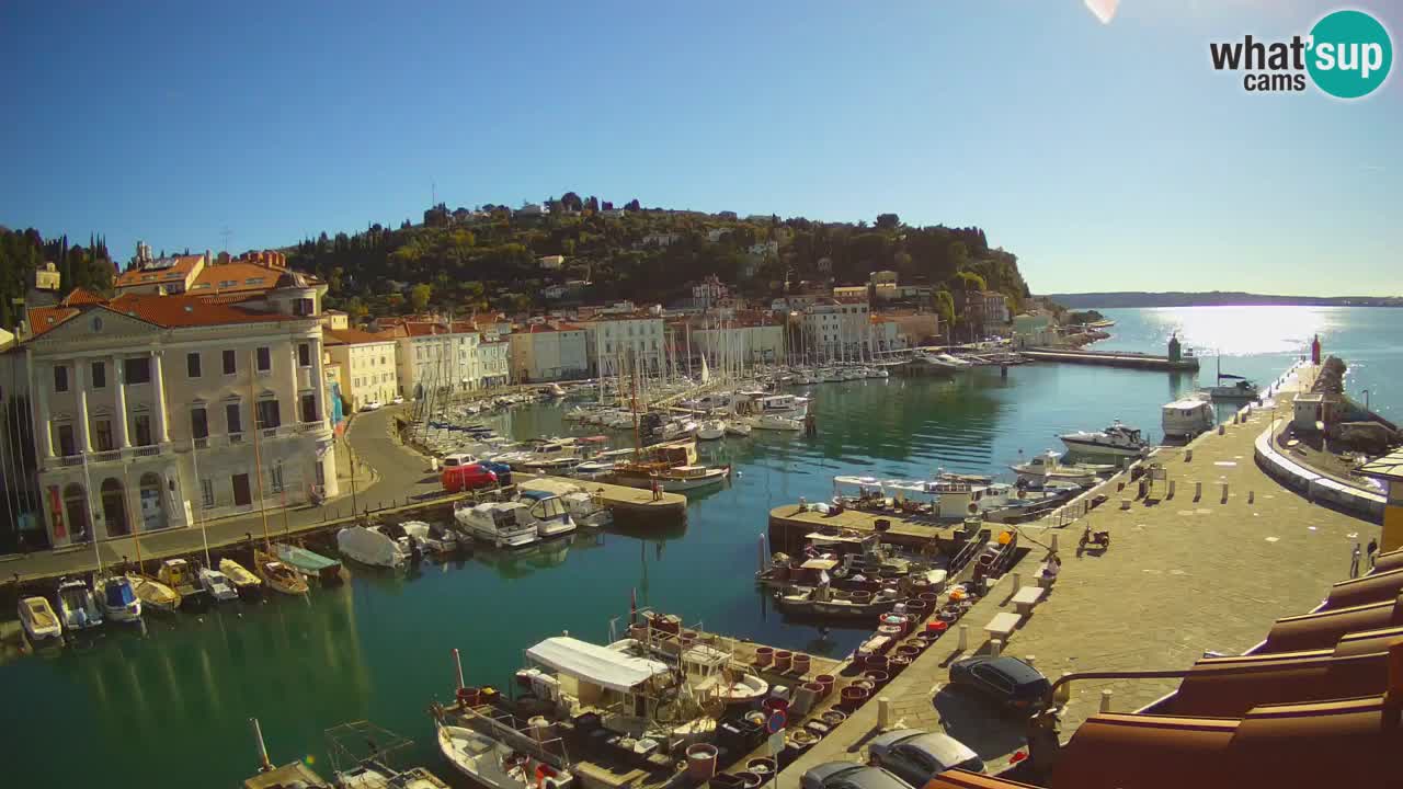 Web kamera uživo iz Pirana “Mandrač” – Nevjerojatan pogled uživo iz Ville Piranesi