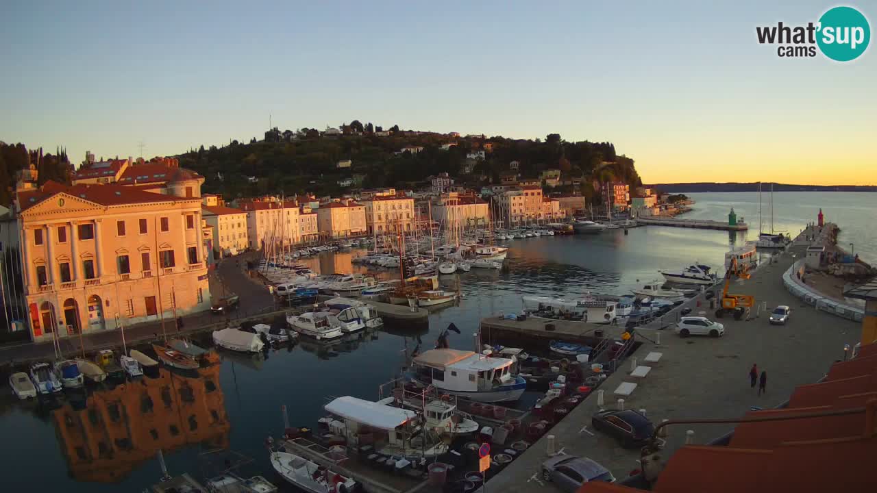 Iz Pirana Spletna kamera v živo “Mandrač” – Neverjeten pogled v živo iz Vile Piranesi