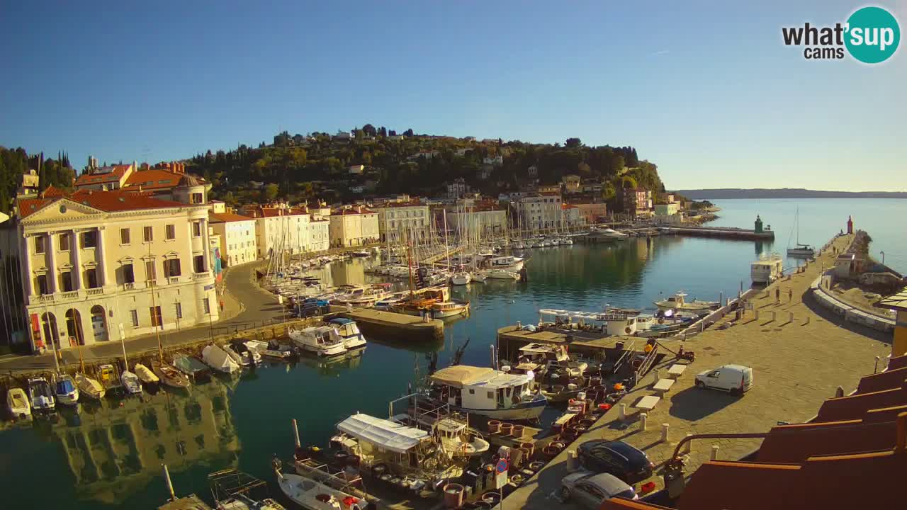 Web kamera uživo iz Pirana “Mandrač” – Nevjerojatan pogled uživo iz Ville Piranesi