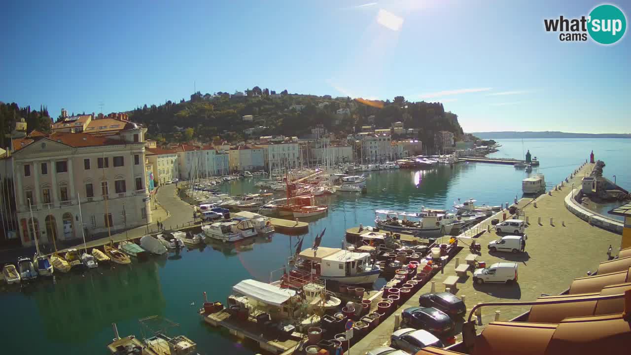 Web kamera uživo iz Pirana “Mandrač” – Nevjerojatan pogled uživo iz Ville Piranesi