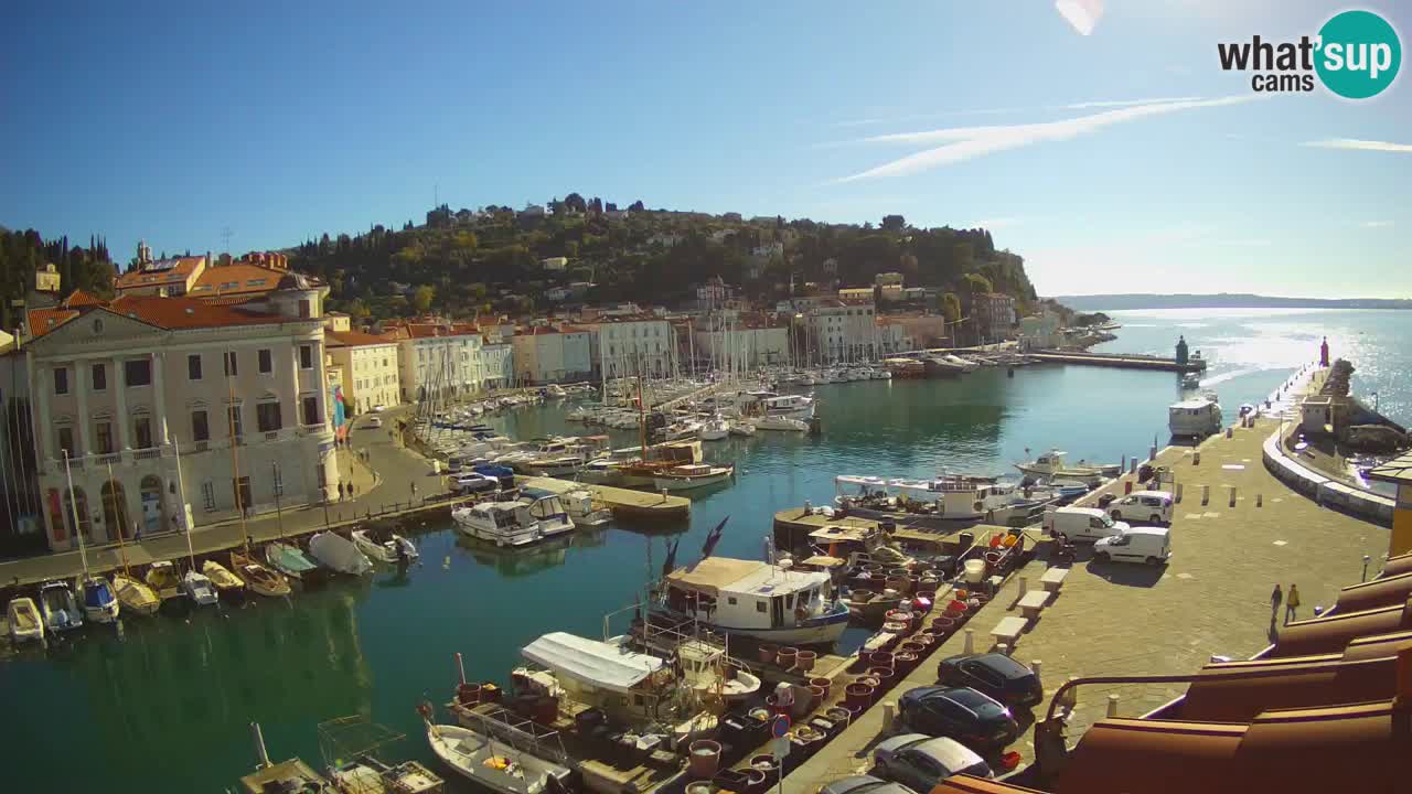 Iz Pirana Spletna kamera v živo “Mandrač” – Neverjeten pogled v živo iz Vile Piranesi