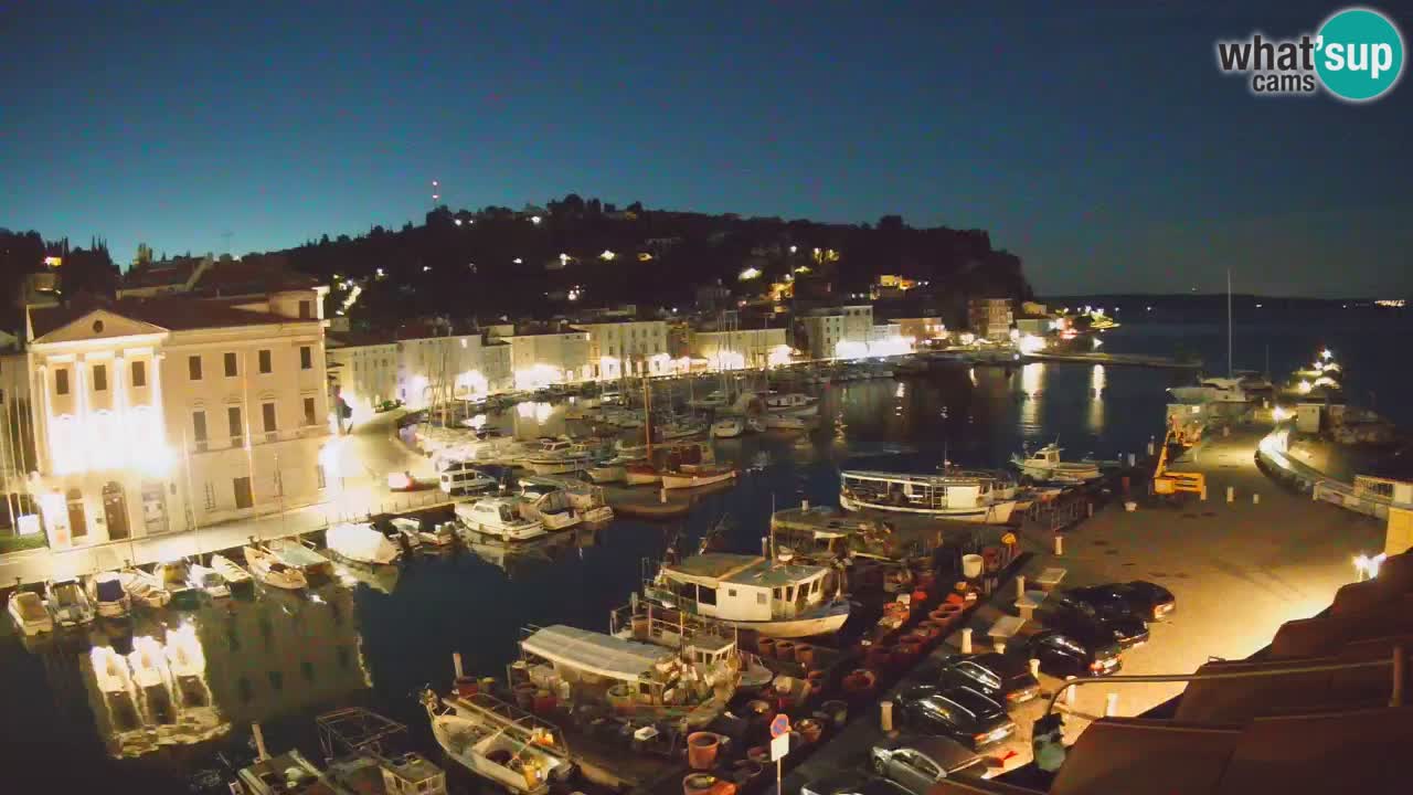 Iz Pirana Spletna kamera v živo “Mandrač” – Neverjeten pogled v živo iz Vile Piranesi