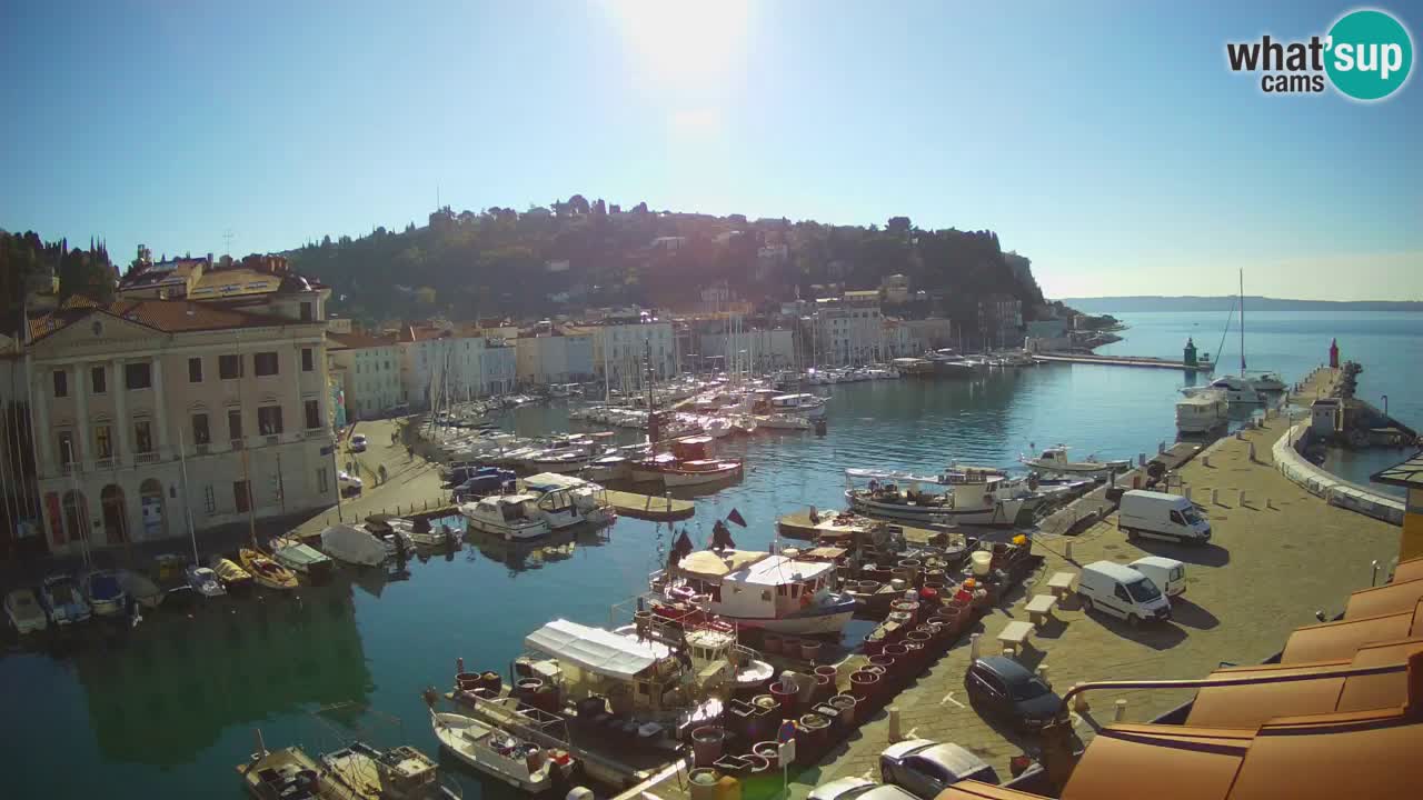 Web kamera uživo iz Pirana “Mandrač” – Nevjerojatan pogled uživo iz Ville Piranesi