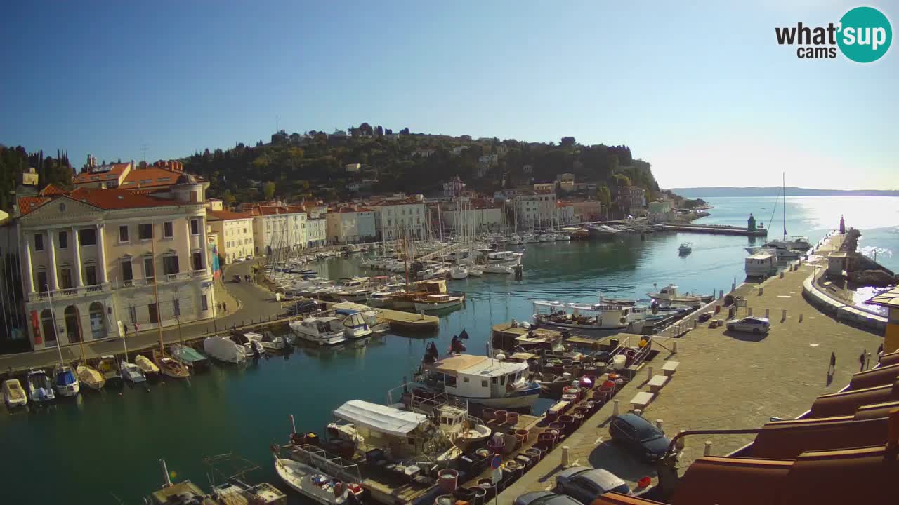 Web kamera uživo iz Pirana “Mandrač” – Nevjerojatan pogled uživo iz Ville Piranesi