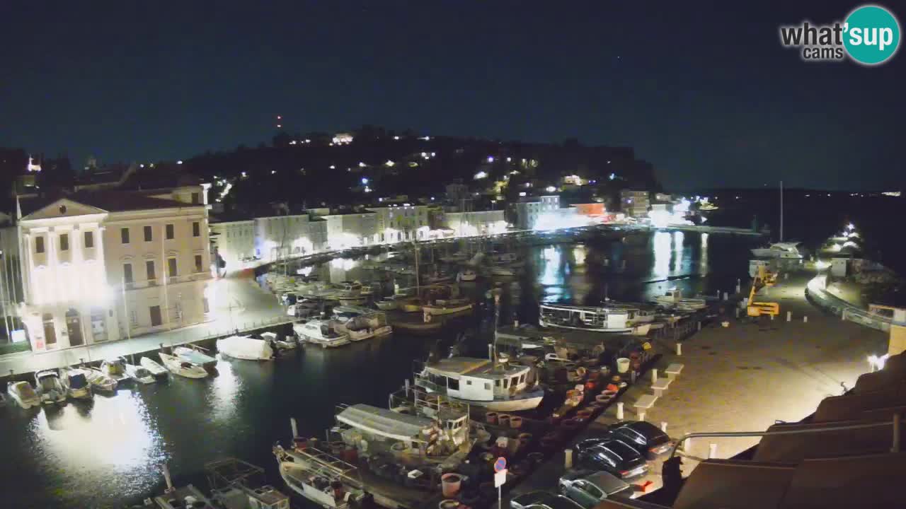 Iz Pirana Spletna kamera v živo “Mandrač” – Neverjeten pogled v živo iz Vile Piranesi