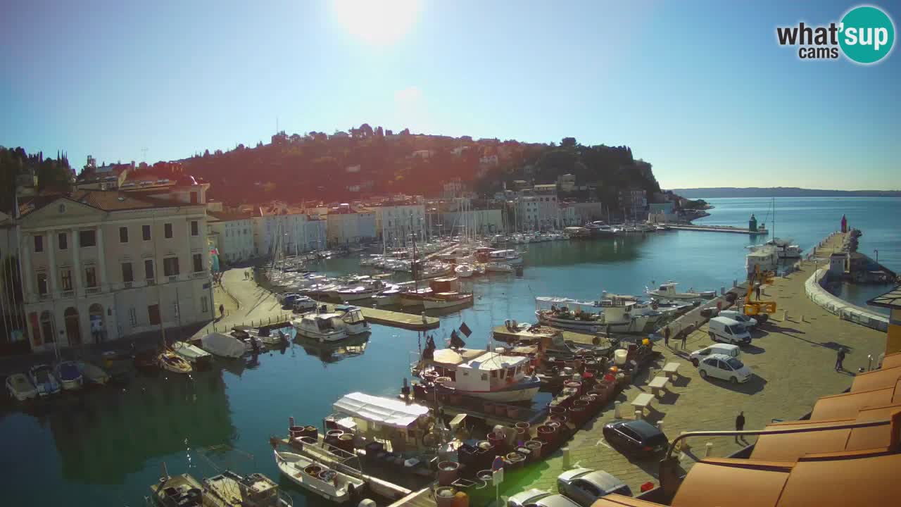 Iz Pirana Spletna kamera v živo “Mandrač” – Neverjeten pogled v živo iz Vile Piranesi