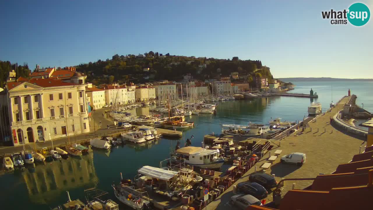 Iz Pirana Spletna kamera v živo “Mandrač” – Neverjeten pogled v živo iz Vile Piranesi