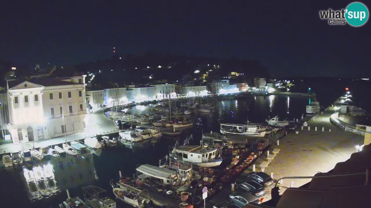 Iz Pirana Spletna kamera v živo “Mandrač” – Neverjeten pogled v živo iz Vile Piranesi