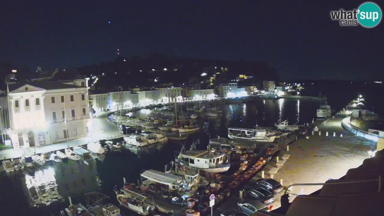 Iz Pirana Spletna kamera v živo “Mandrač” – Neverjeten pogled v živo iz Vile Piranesi