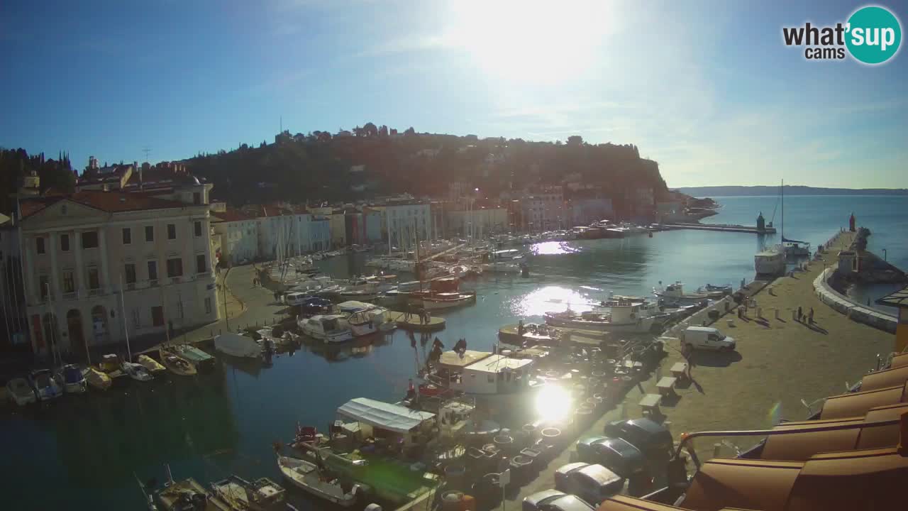 Iz Pirana Spletna kamera v živo “Mandrač” – Neverjeten pogled v živo iz Vile Piranesi