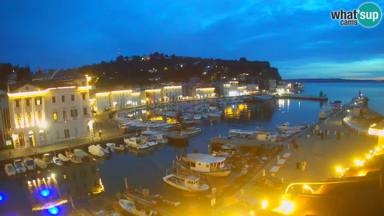 Iz Pirana Spletna kamera v živo “Mandrač” – Neverjeten pogled v živo iz Vile Piranesi