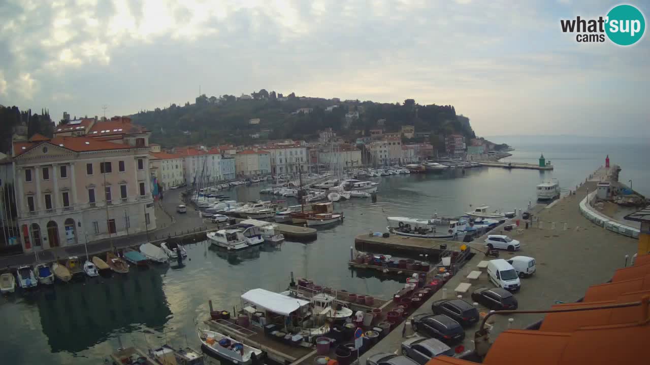 Live webcam da Pirano “Mandrač” – Splendida vista live da Villa Piranesi