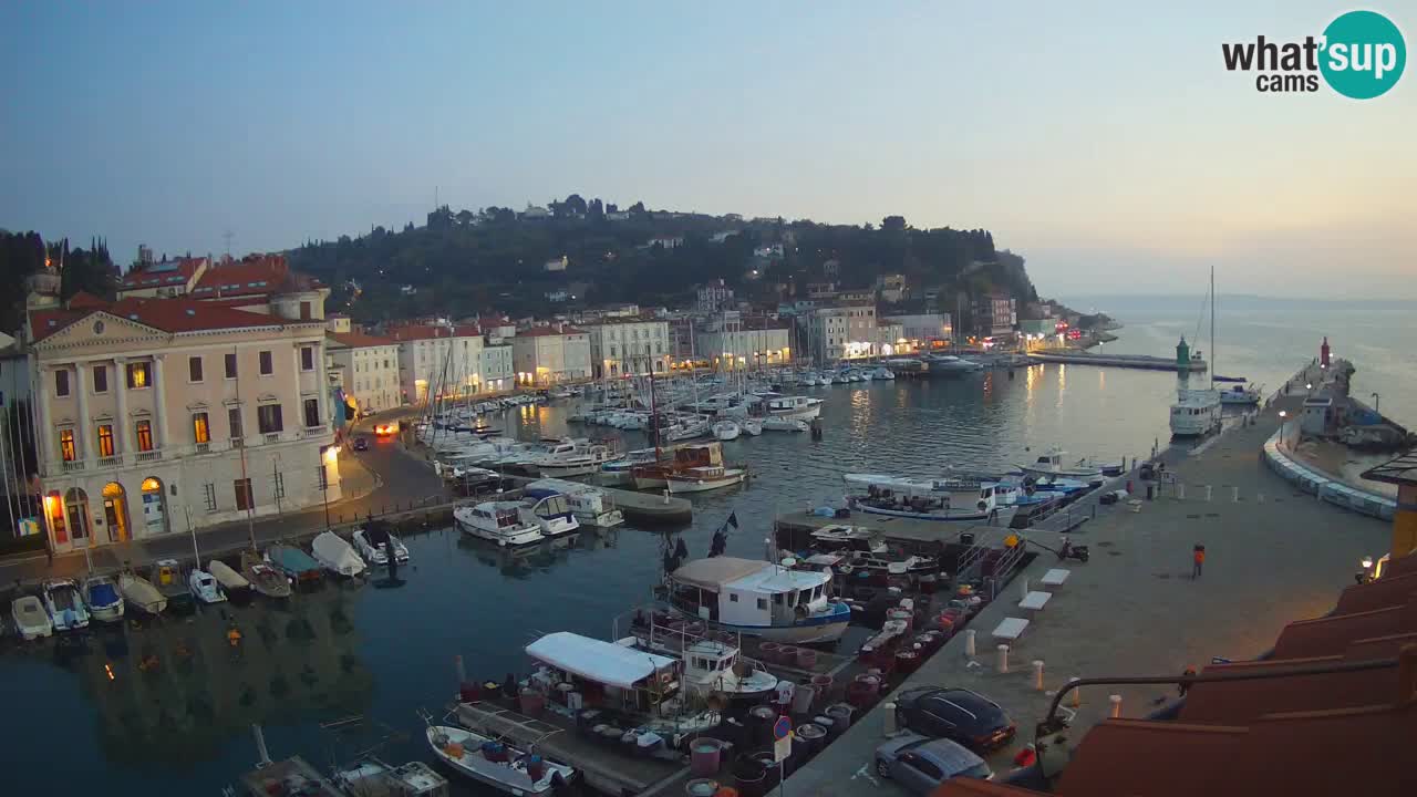 Iz Pirana Spletna kamera v živo “Mandrač” – Neverjeten pogled v živo iz Vile Piranesi