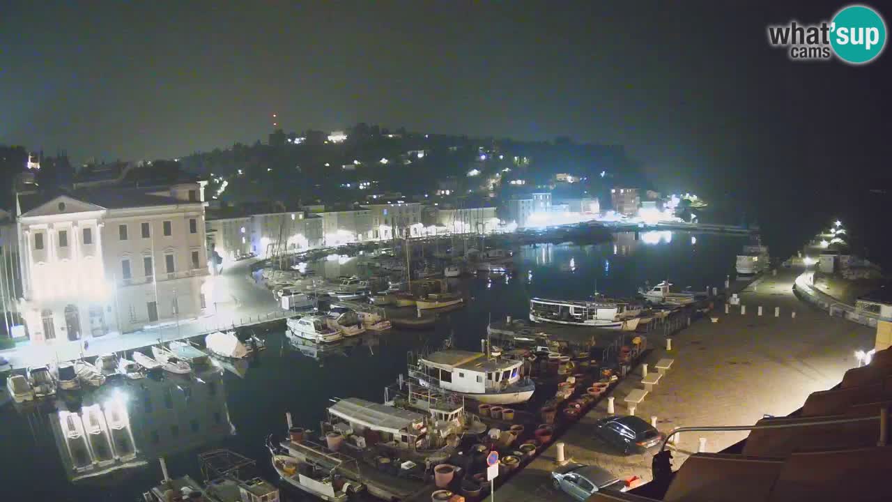 Iz Pirana Spletna kamera v živo “Mandrač” – Neverjeten pogled v živo iz Vile Piranesi