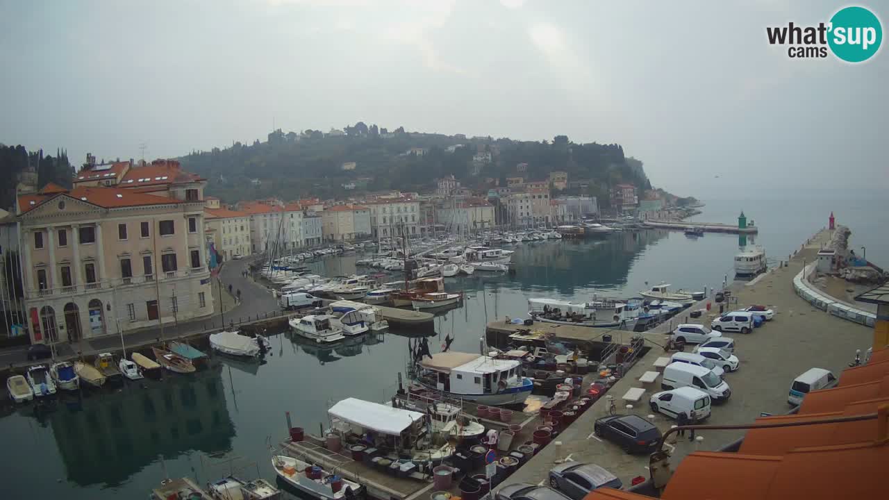 Live webcam from Piran “Mandrač” – Amazing live view from Villa Piranesi