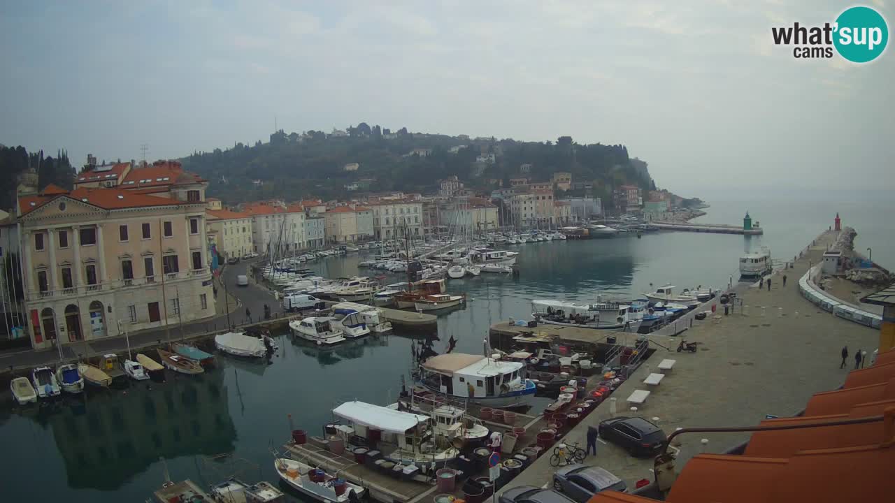 Iz Pirana Spletna kamera v živo “Mandrač” – Neverjeten pogled v živo iz Vile Piranesi