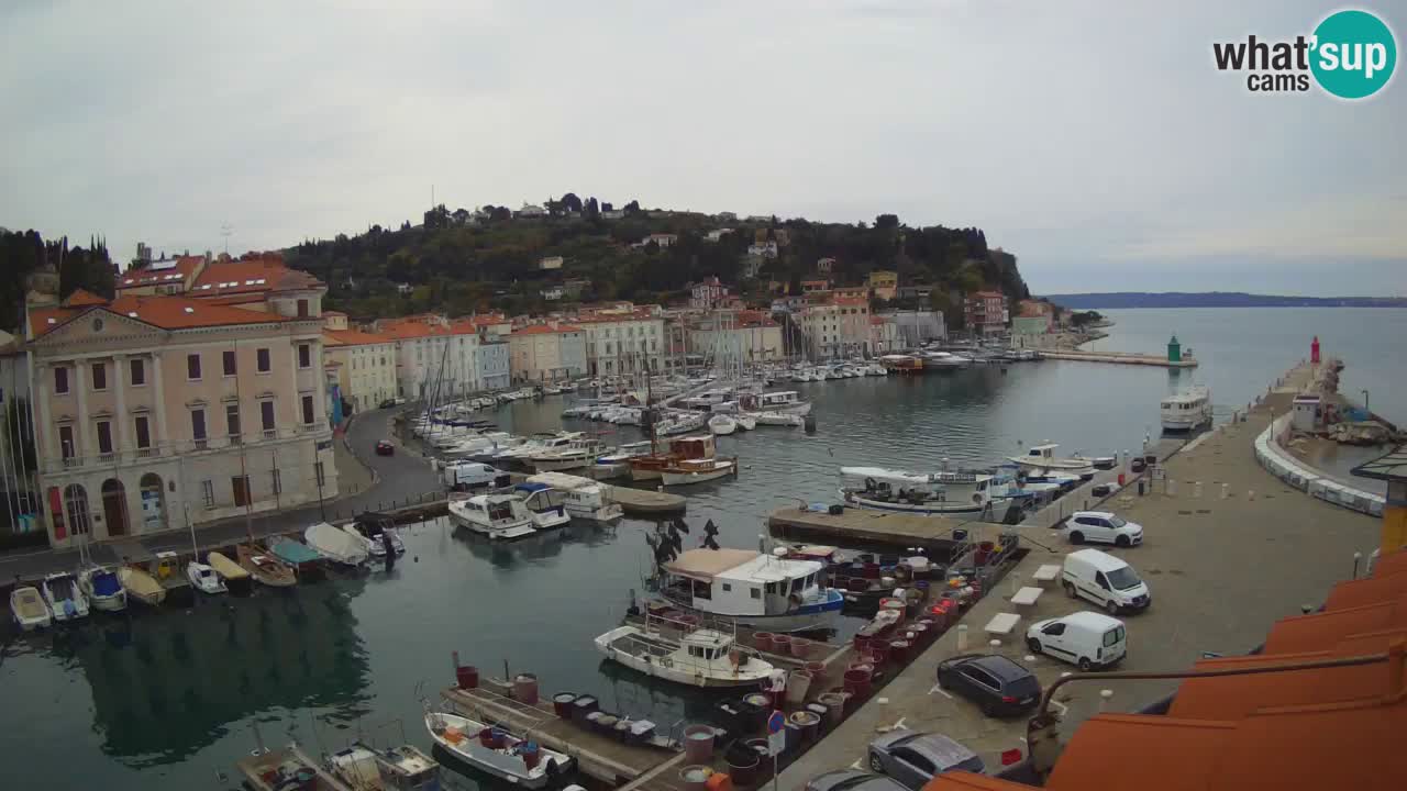 Live-Webcam aus Piran “Mandrač” – Erstaunliche Live-Ansicht von Villa Piranesi