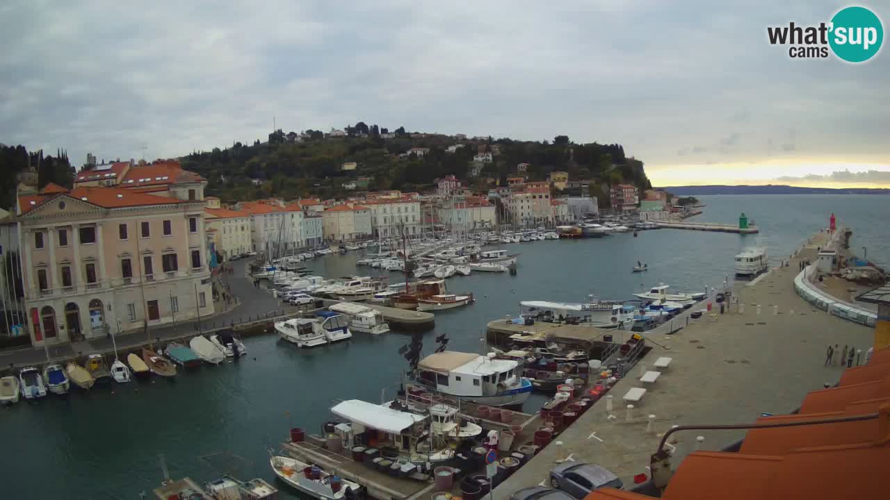 Web kamera uživo iz Pirana “Mandrač” – Nevjerojatan pogled uživo iz Ville Piranesi