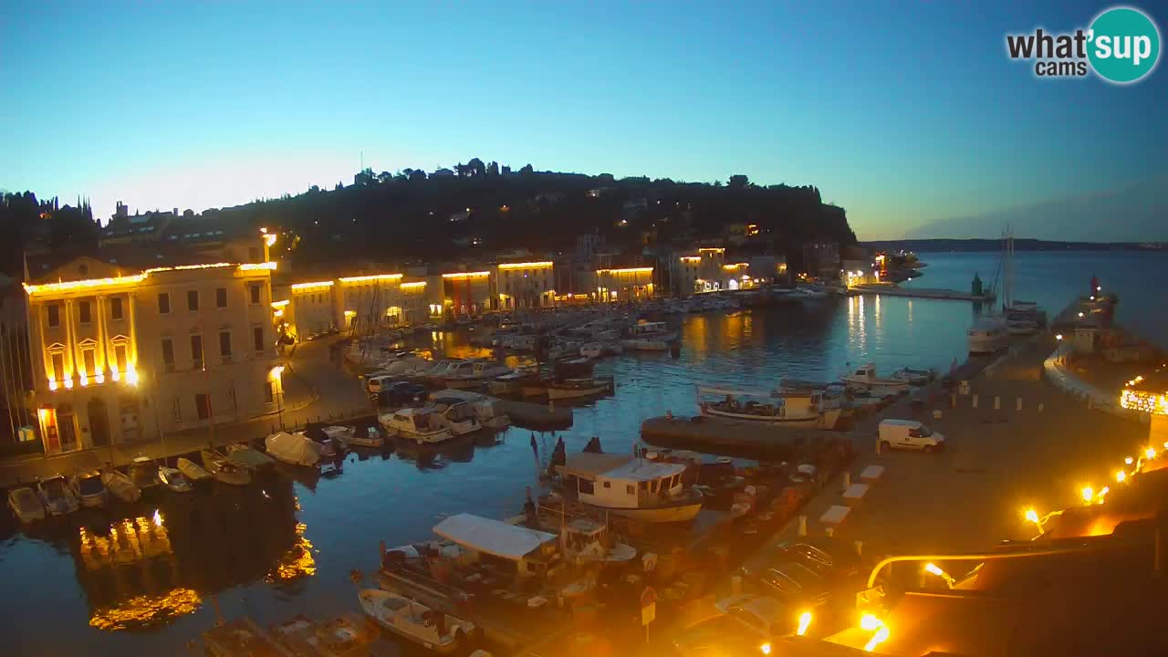 Web kamera uživo iz Pirana “Mandrač” – Nevjerojatan pogled uživo iz Ville Piranesi