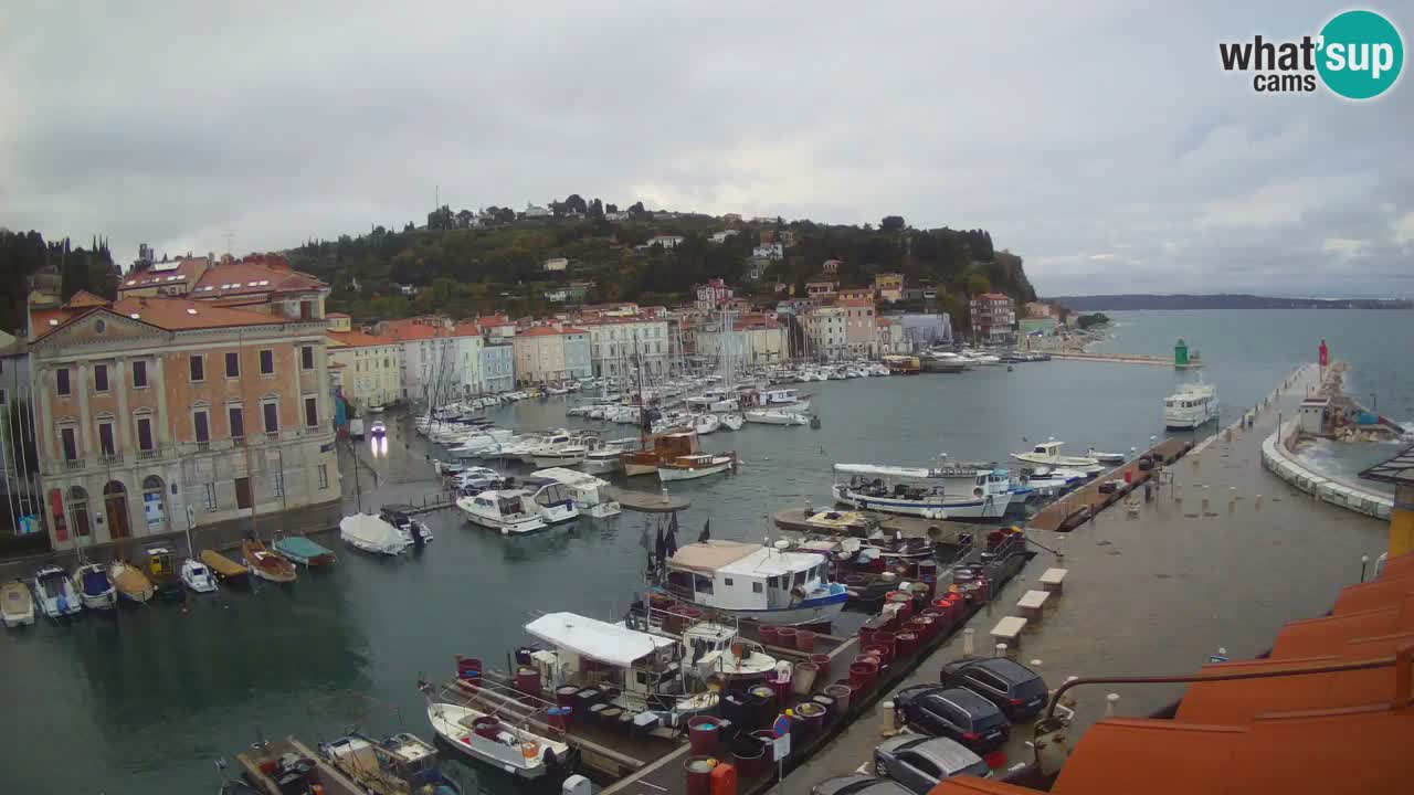 Live webcam da Pirano “Mandrač” – Splendida vista live da Villa Piranesi