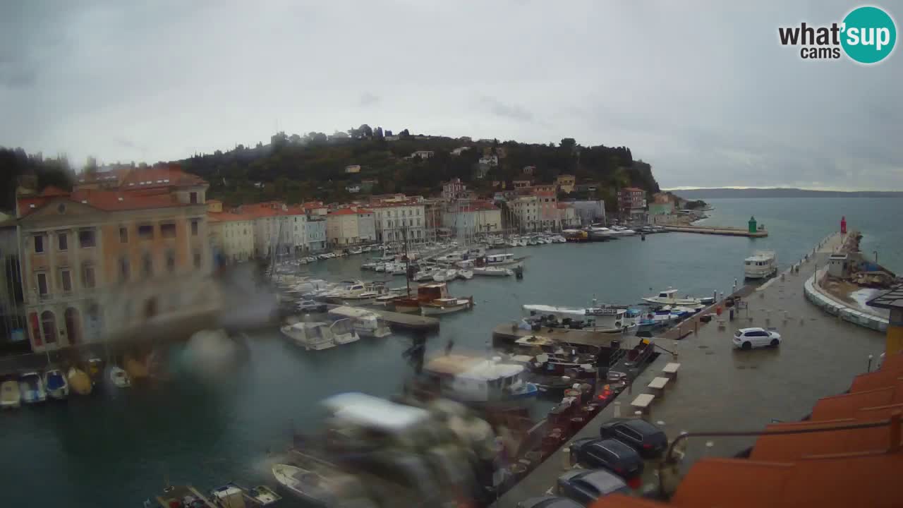 Live webcam da Pirano “Mandrač” – Splendida vista live da Villa Piranesi