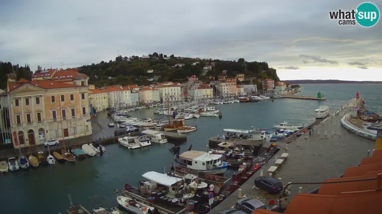 Live webcam da Pirano “Mandrač” – Splendida vista live da Villa Piranesi
