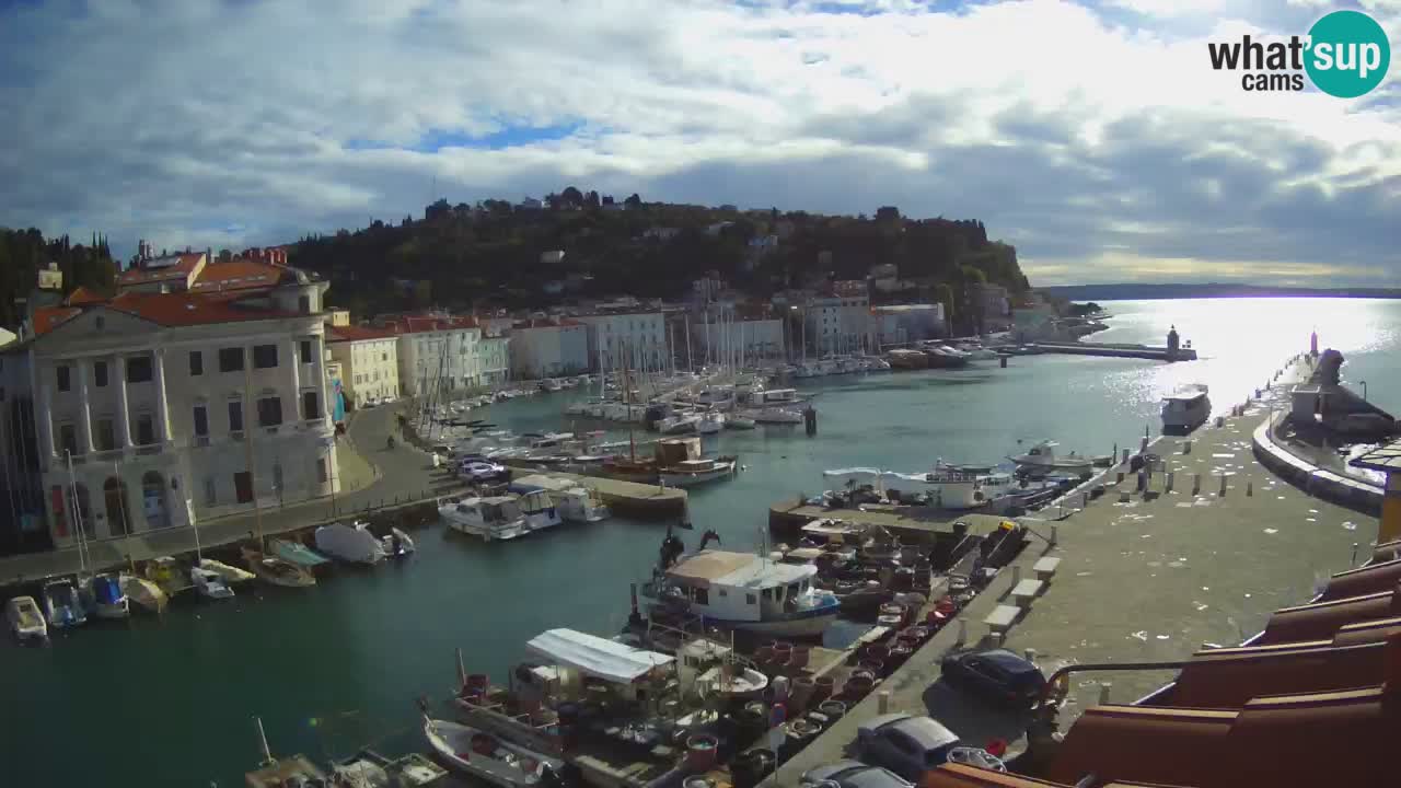 Iz Pirana Spletna kamera v živo “Mandrač” – Neverjeten pogled v živo iz Vile Piranesi