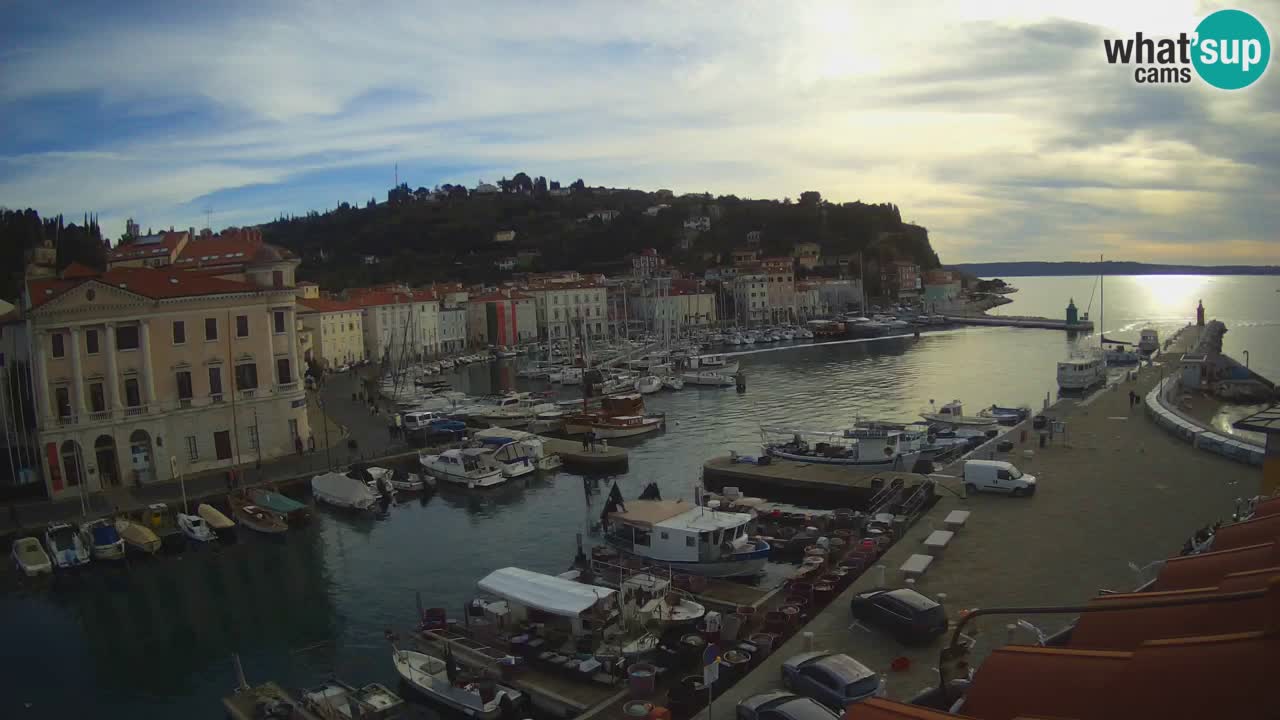 Iz Pirana Spletna kamera v živo “Mandrač” – Neverjeten pogled v živo iz Vile Piranesi