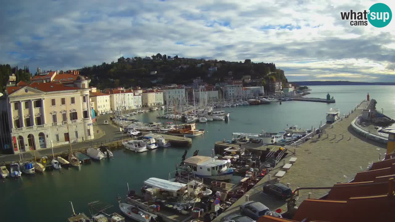 Iz Pirana Spletna kamera v živo “Mandrač” – Neverjeten pogled v živo iz Vile Piranesi