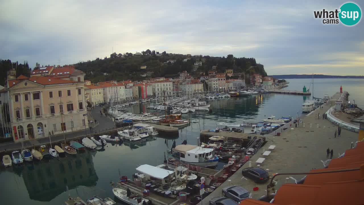 Web kamera uživo iz Pirana “Mandrač” – Nevjerojatan pogled uživo iz Ville Piranesi