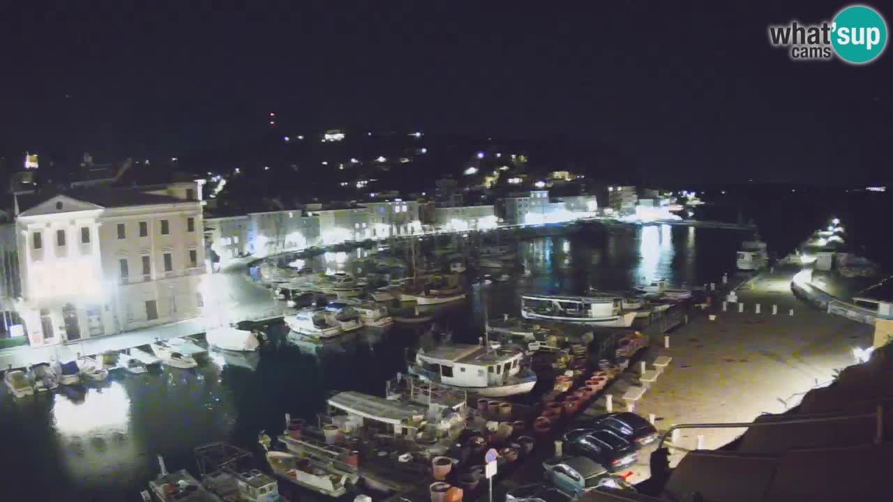Web kamera uživo iz Pirana “Mandrač” – Nevjerojatan pogled uživo iz Ville Piranesi