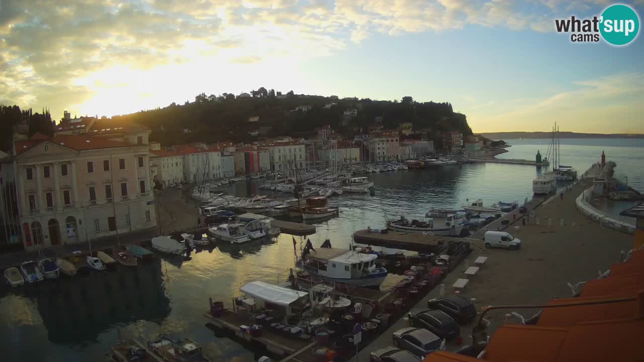 Iz Pirana Spletna kamera v živo “Mandrač” – Neverjeten pogled v živo iz Vile Piranesi