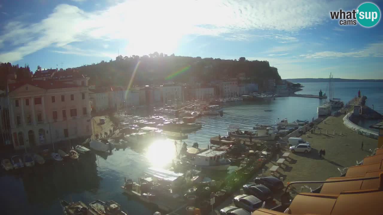 Iz Pirana Spletna kamera v živo “Mandrač” – Neverjeten pogled v živo iz Vile Piranesi