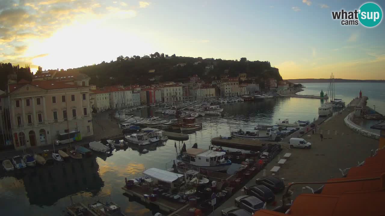 Iz Pirana Spletna kamera v živo “Mandrač” – Neverjeten pogled v živo iz Vile Piranesi