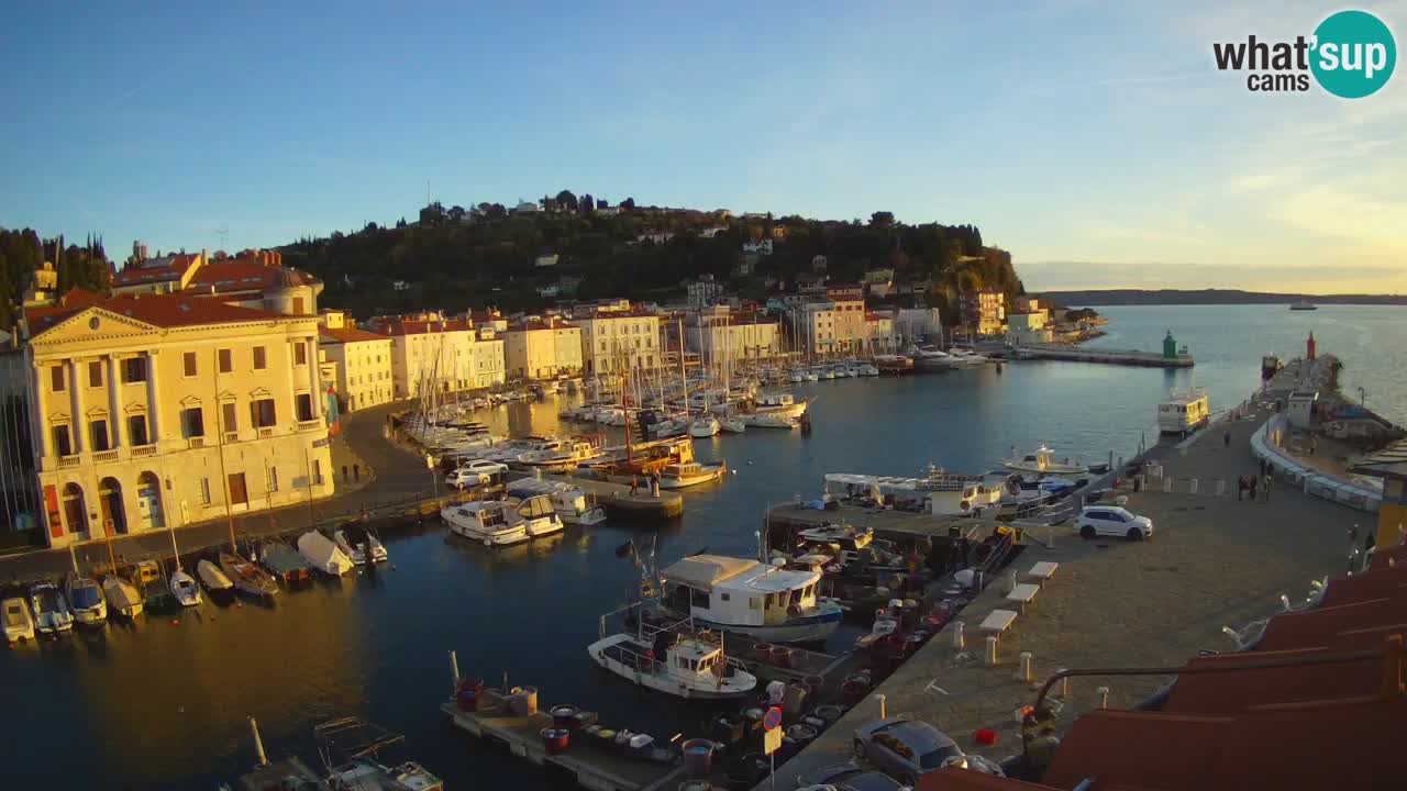 Web kamera uživo iz Pirana “Mandrač” – Nevjerojatan pogled uživo iz Ville Piranesi