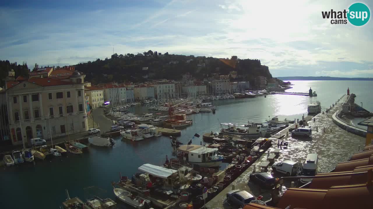 Web kamera uživo iz Pirana “Mandrač” – Nevjerojatan pogled uživo iz Ville Piranesi