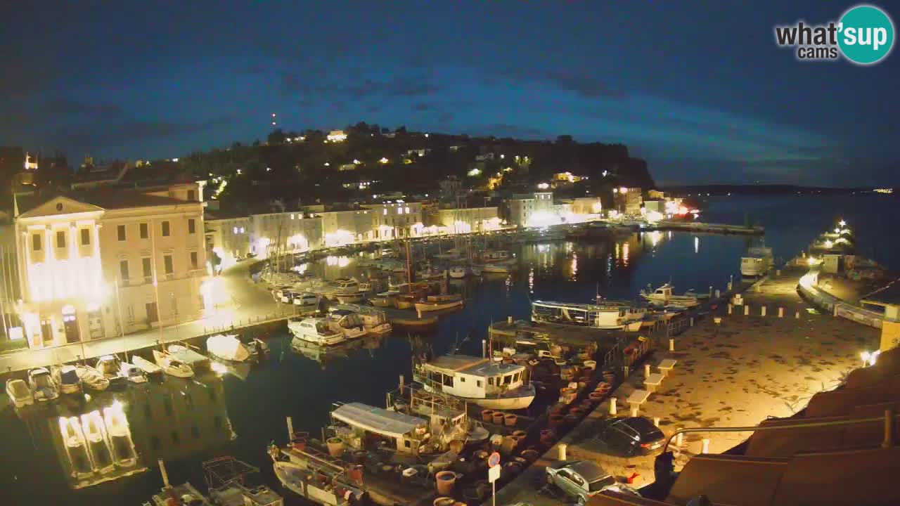 Iz Pirana Spletna kamera v živo “Mandrač” – Neverjeten pogled v živo iz Vile Piranesi