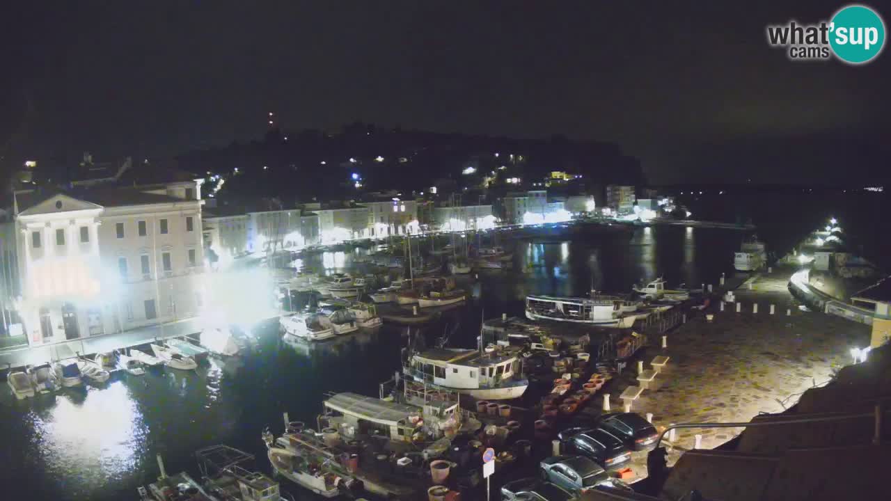 Iz Pirana Spletna kamera v živo “Mandrač” – Neverjeten pogled v živo iz Vile Piranesi