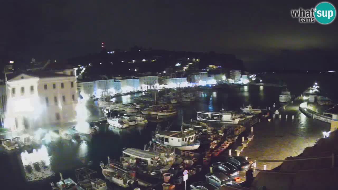 Iz Pirana Spletna kamera v živo “Mandrač” – Neverjeten pogled v živo iz Vile Piranesi