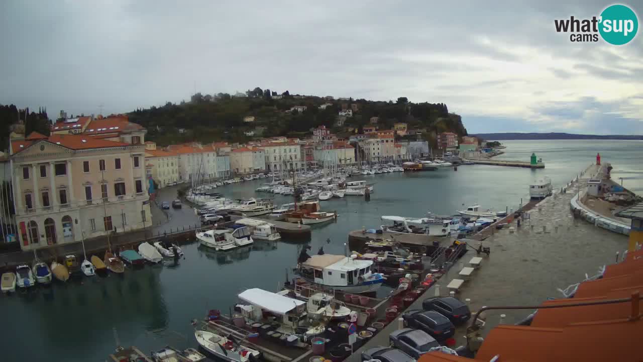 Webcam en direct de Piran “Mandrač” – Incroyable vue en direct de la Villa Piranesi