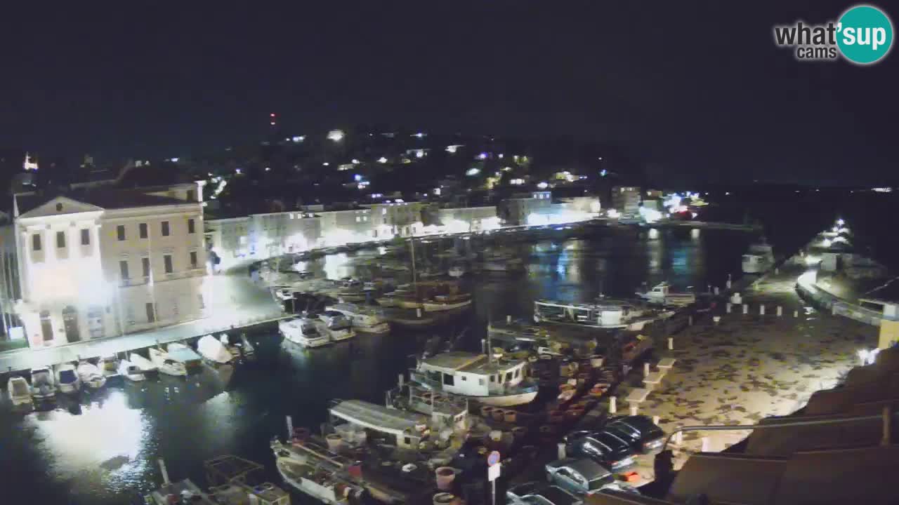 Iz Pirana Spletna kamera v živo “Mandrač” – Neverjeten pogled v živo iz Vile Piranesi