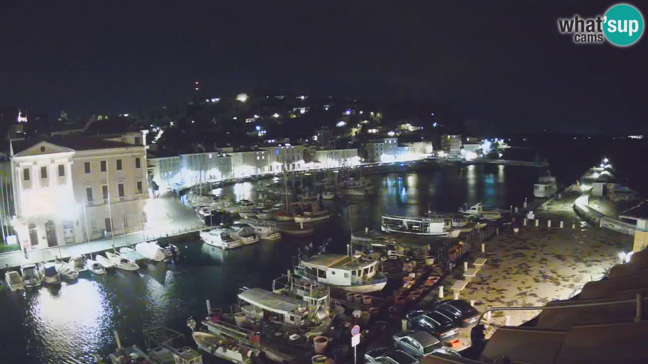 Iz Pirana Spletna kamera v živo “Mandrač” – Neverjeten pogled v živo iz Vile Piranesi