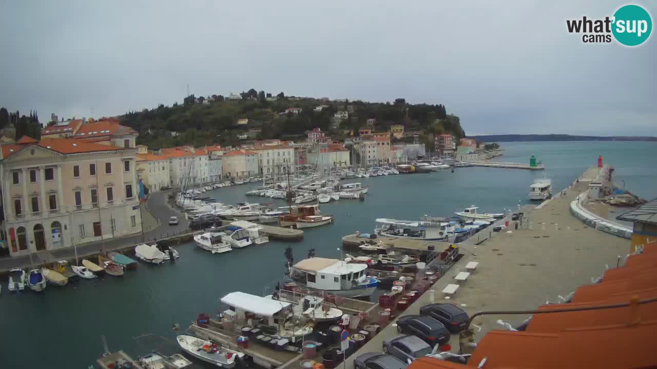 Live webcam from Piran “Mandrač” – Amazing live view from Villa Piranesi