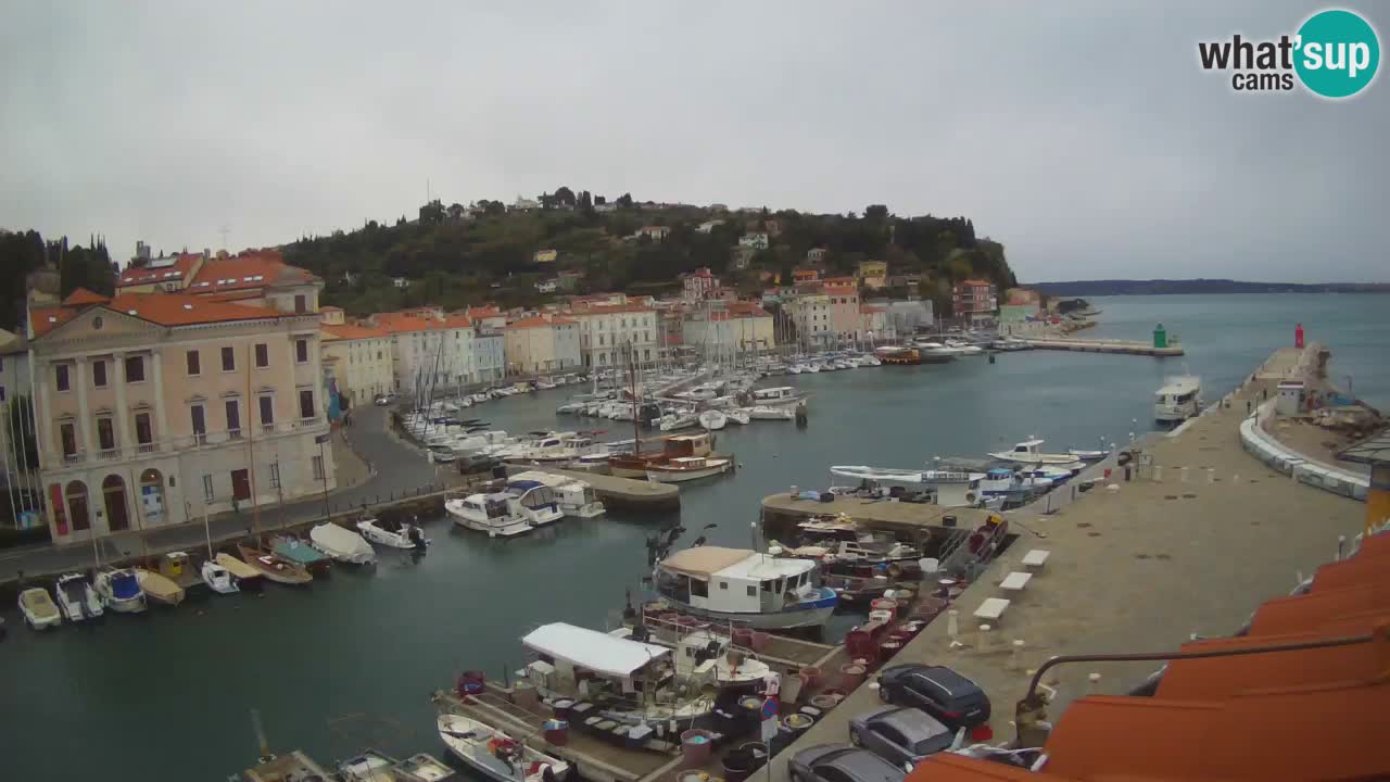 Cámara web en vivo desde Piran “Mandrač” – Increíble vista en vivo desde Villa Piranesi