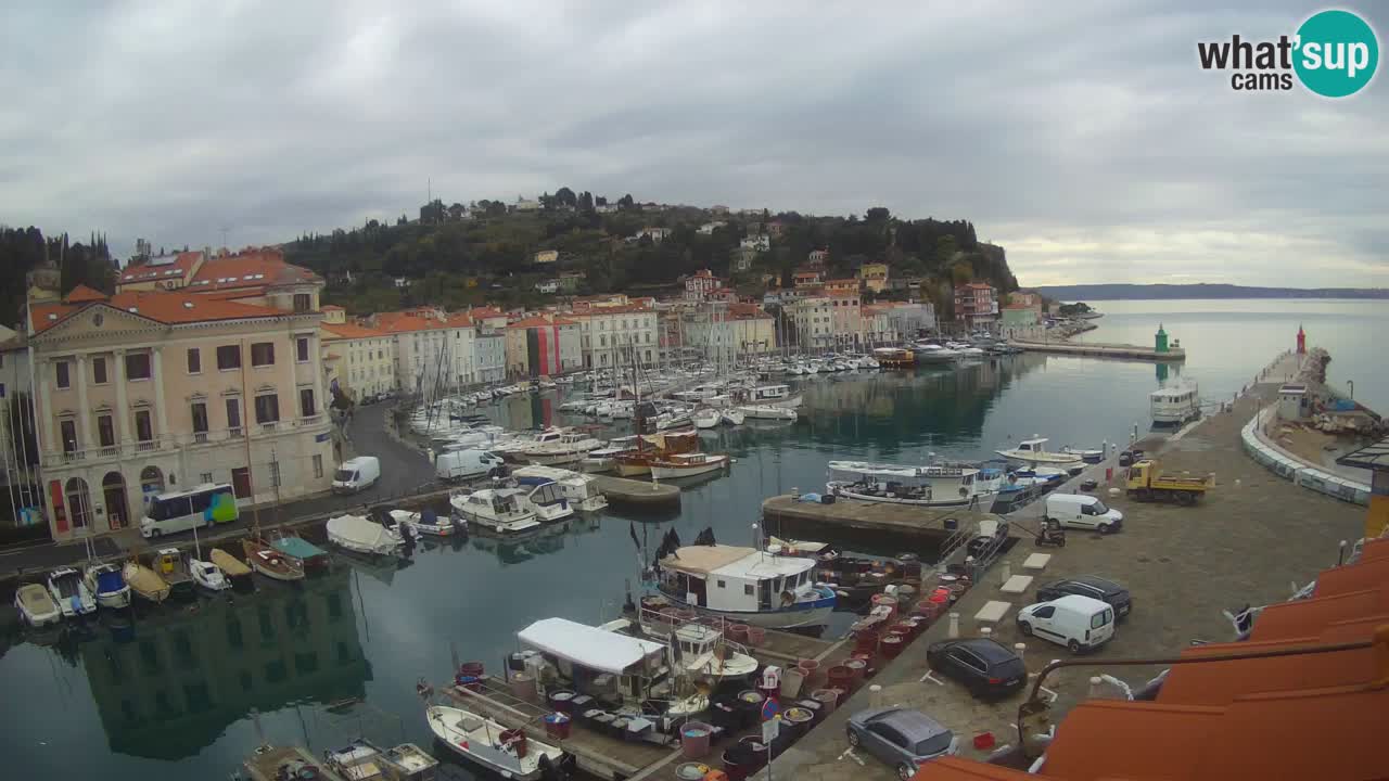 Live webcam from Piran “Mandrač” – Amazing live view from Villa Piranesi