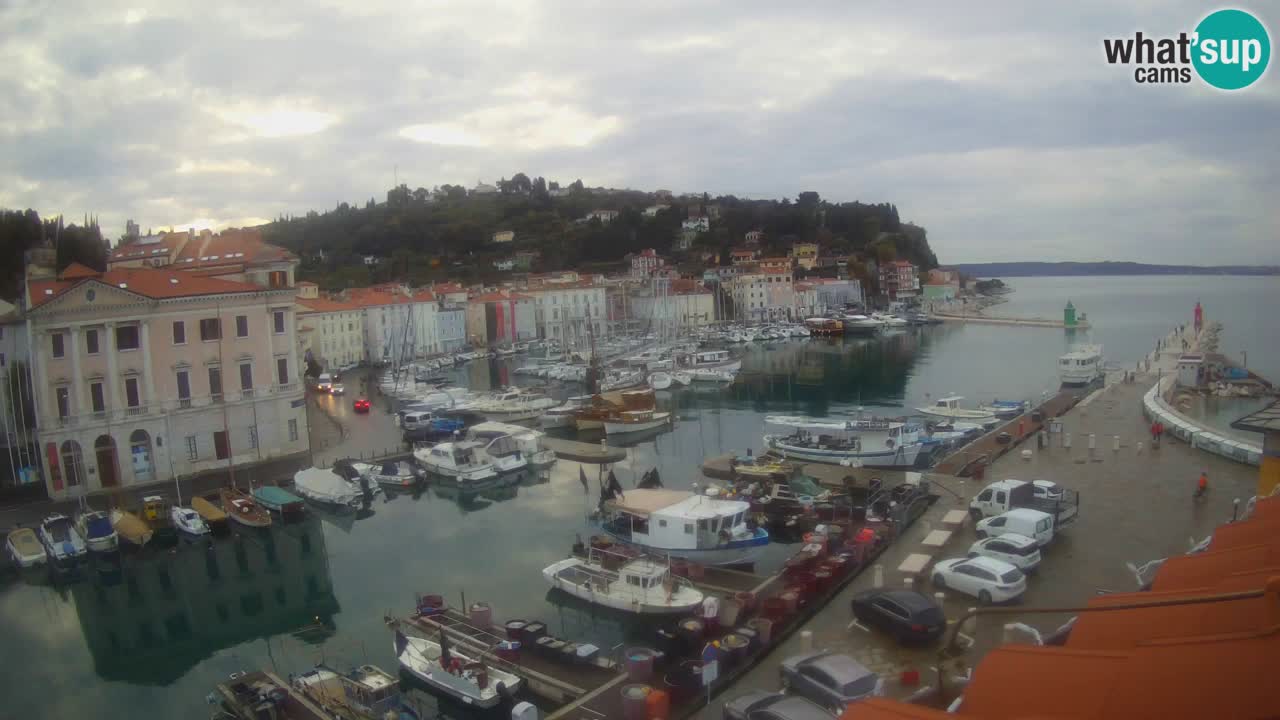 Web kamera uživo iz Pirana “Mandrač” – Nevjerojatan pogled uživo iz Ville Piranesi