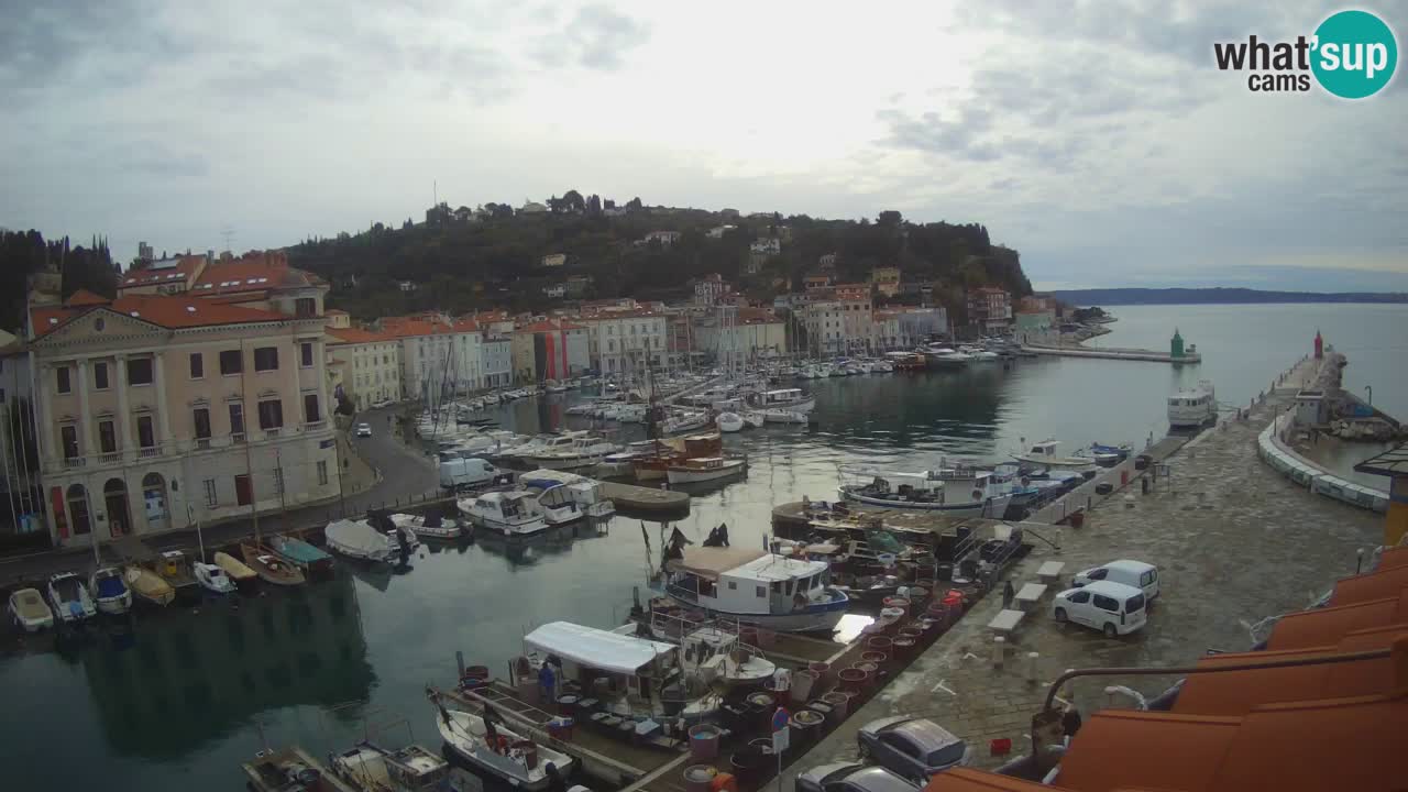 Live webcam da Pirano “Mandrač” – Splendida vista live da Villa Piranesi