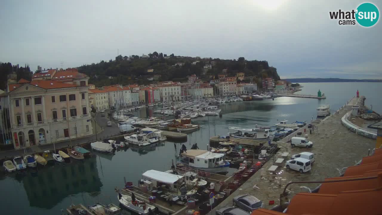 Live webcam da Pirano “Mandrač” – Splendida vista live da Villa Piranesi