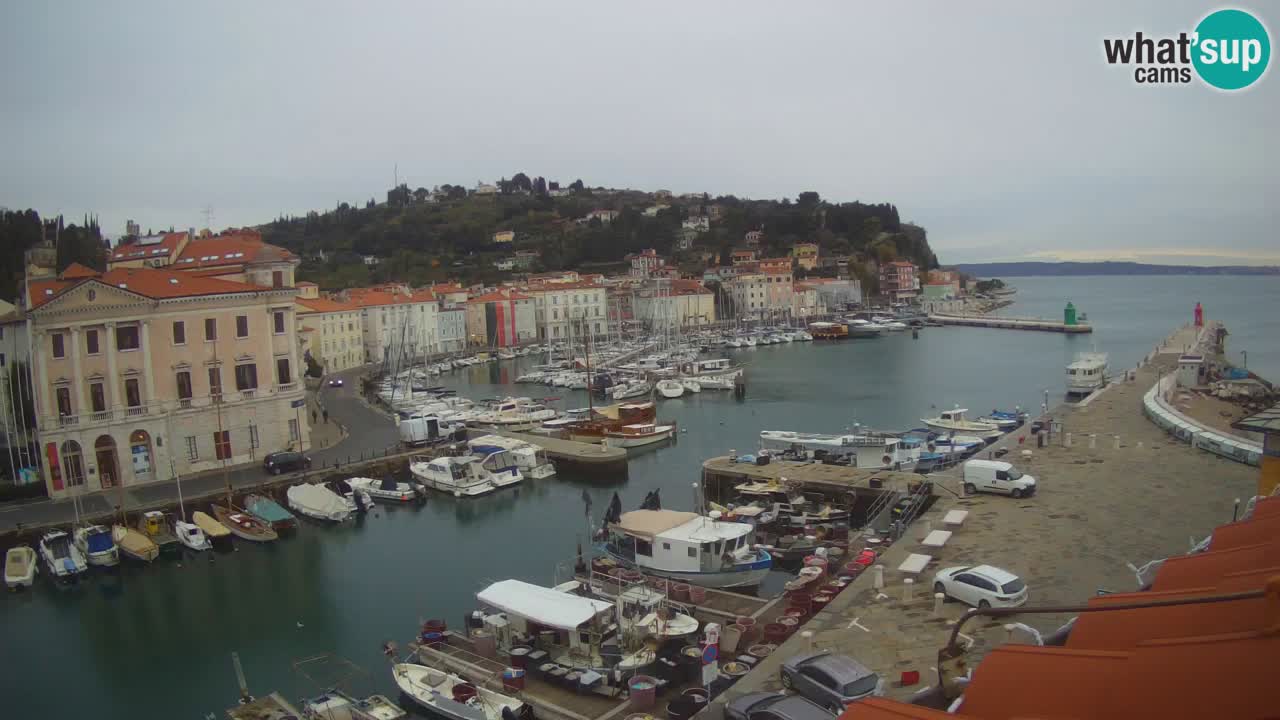 Web kamera uživo iz Pirana “Mandrač” – Nevjerojatan pogled uživo iz Ville Piranesi